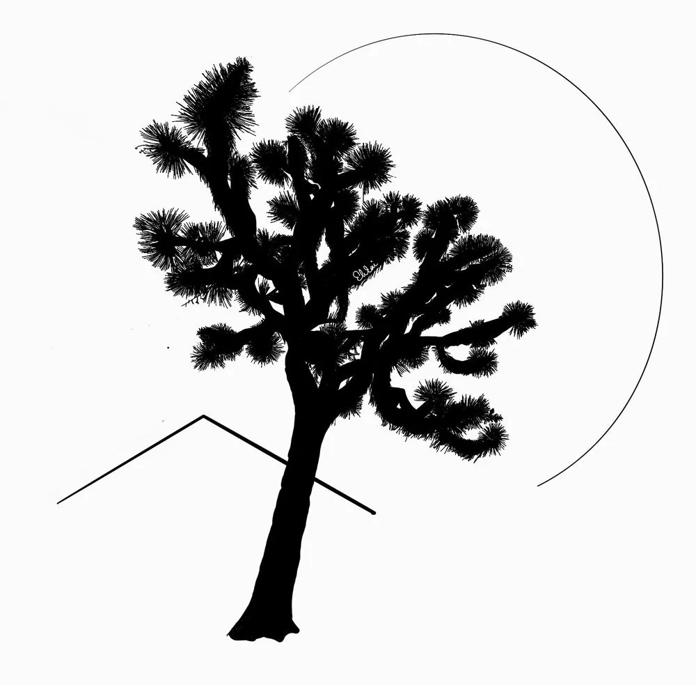 Local landscape design in Yucca Valley, CA - JTX Yard Service