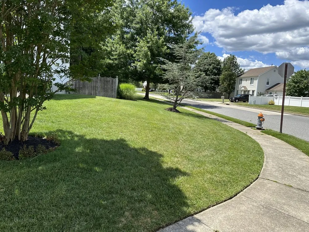 Reliable yard maintenance in Magnolia, NJ - JTZ Services