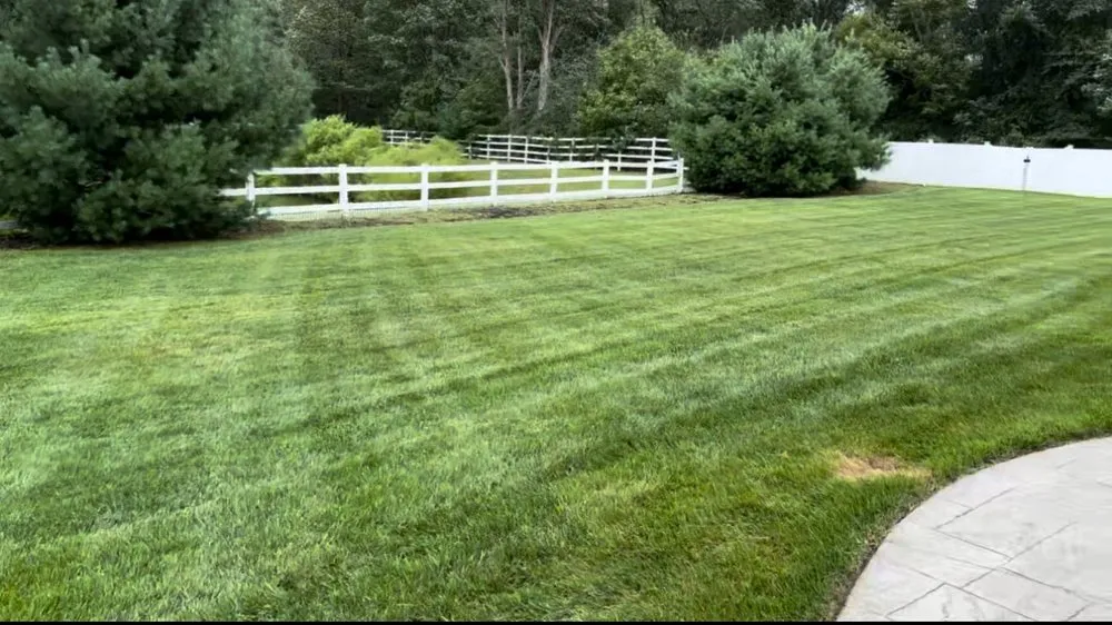 Local yard maintenance in Magnolia, NJ - JTZ Services