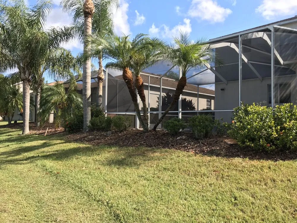 Reliable yard maintenance in Tampa, FL - Juan & Sons Landscaping