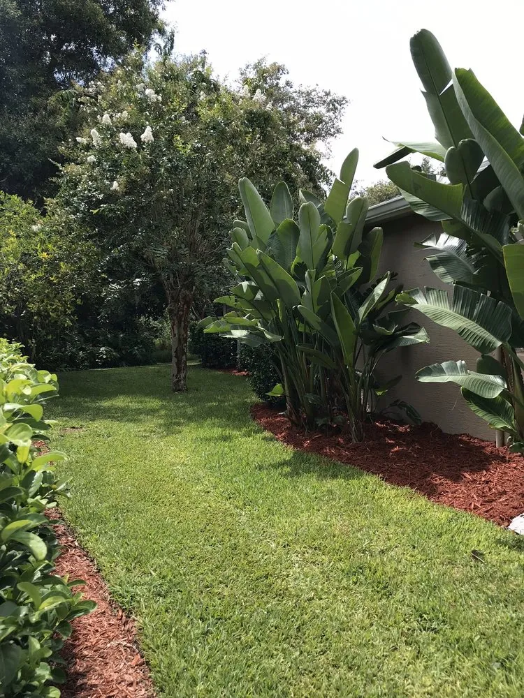 Expert residential landscaping in Tampa, FL - Juan & Sons Landscaping