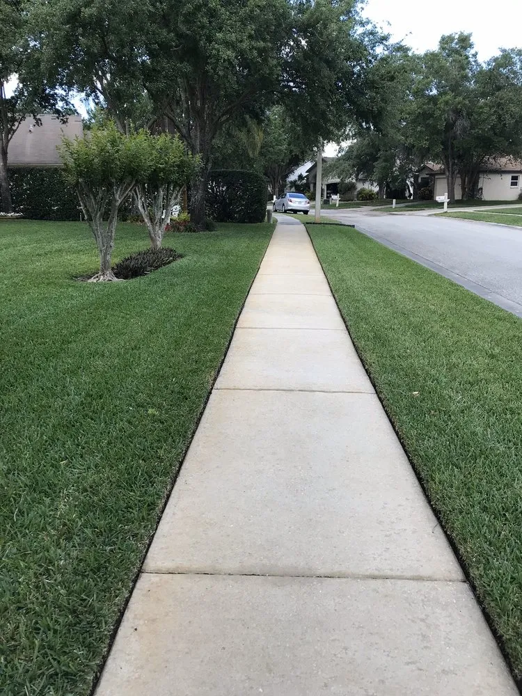 Professional landscape design with custom design in Tampa, FL by Juan & Sons Landscaping