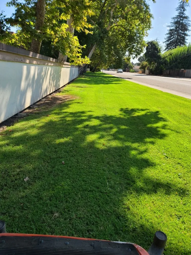 Custom landscaping services with custom design in Lodi, CA by Juan Alvarez Landscaping & Maintenance