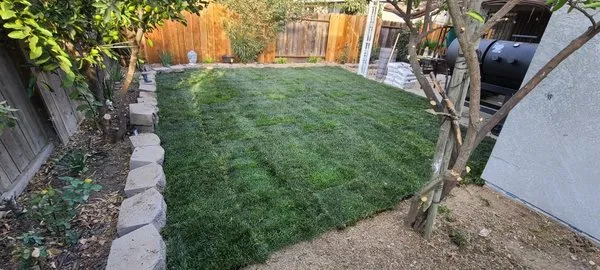 Juan Alvarez Landscaping & Maintenance Logo