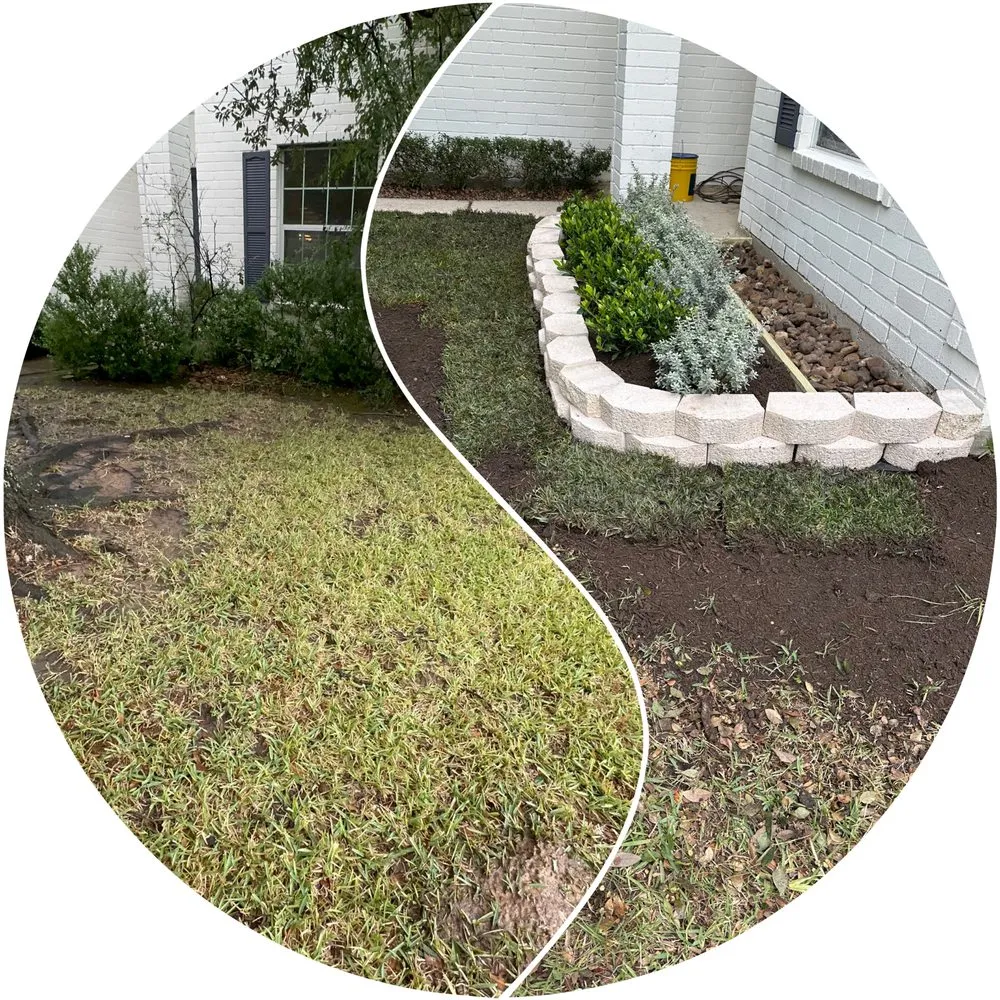 Local landscape installation in Houston, TX by Juan C Lopez Landscaping