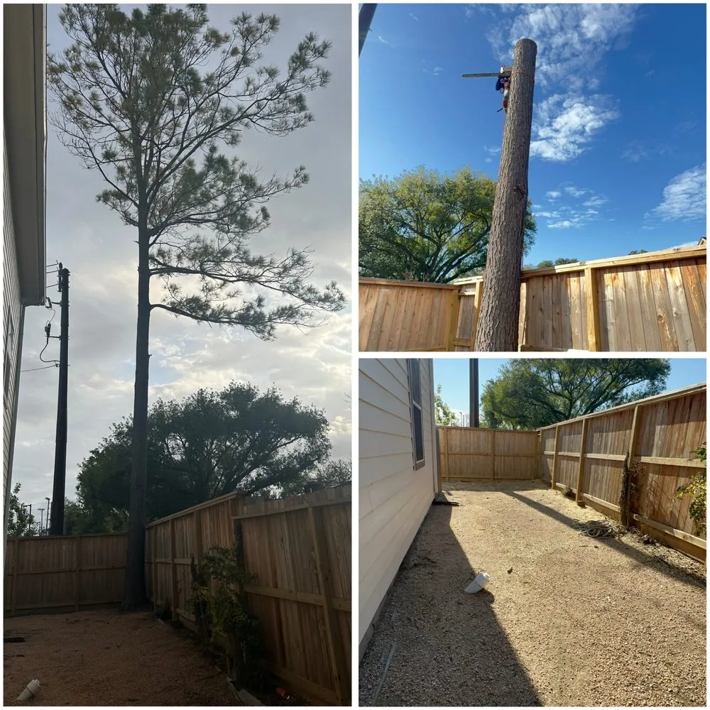 Custom landscaping services in Houston, TX by Juan C Lopez Landscaping