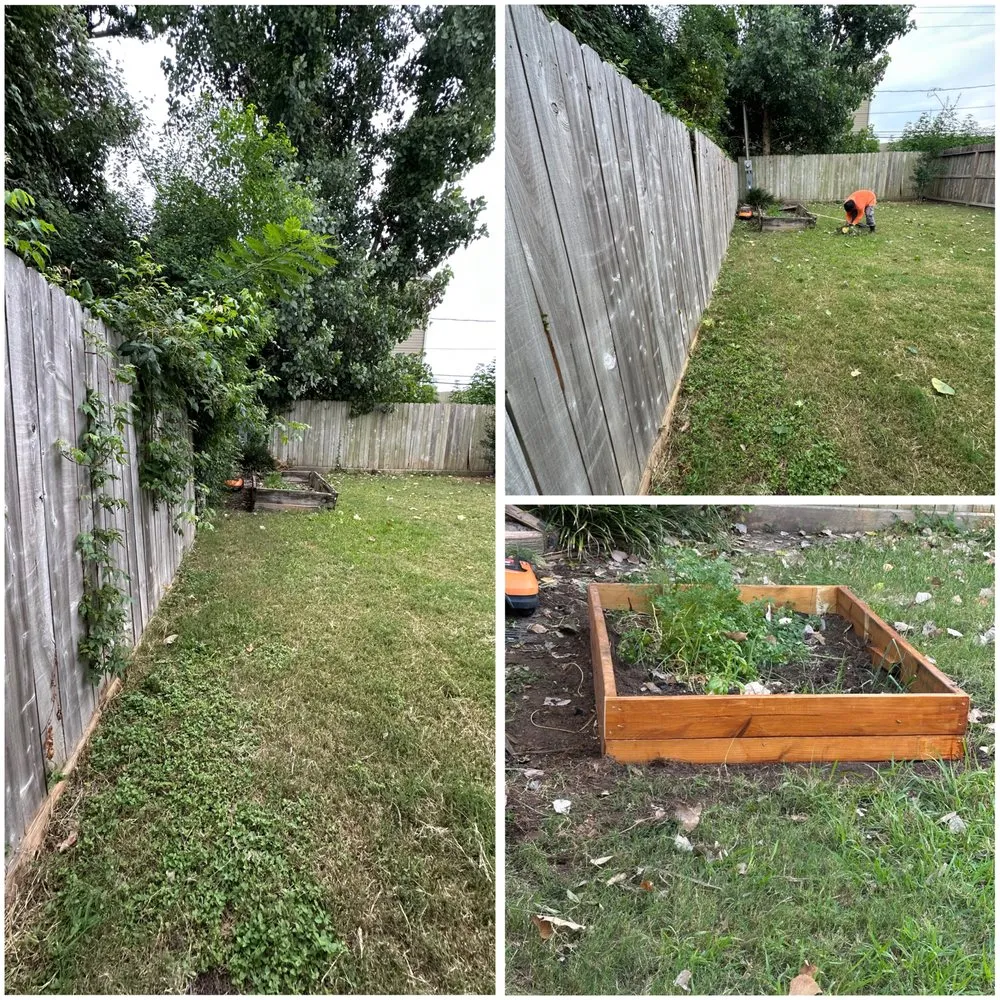 Professional yard cleanup service in Houston, TX by Juan C Lopez Landscaping