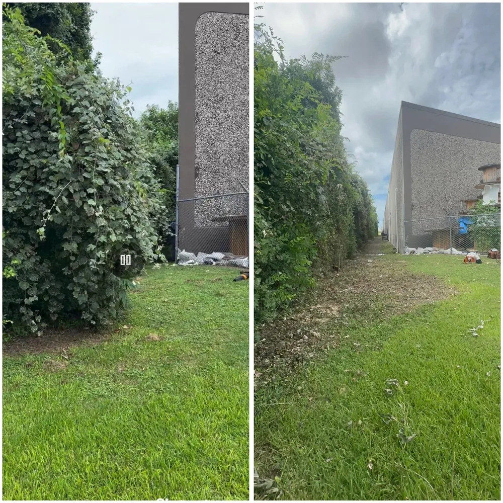 Affordable lawn care service in Houston, TX - Juan C Lopez Landscaping