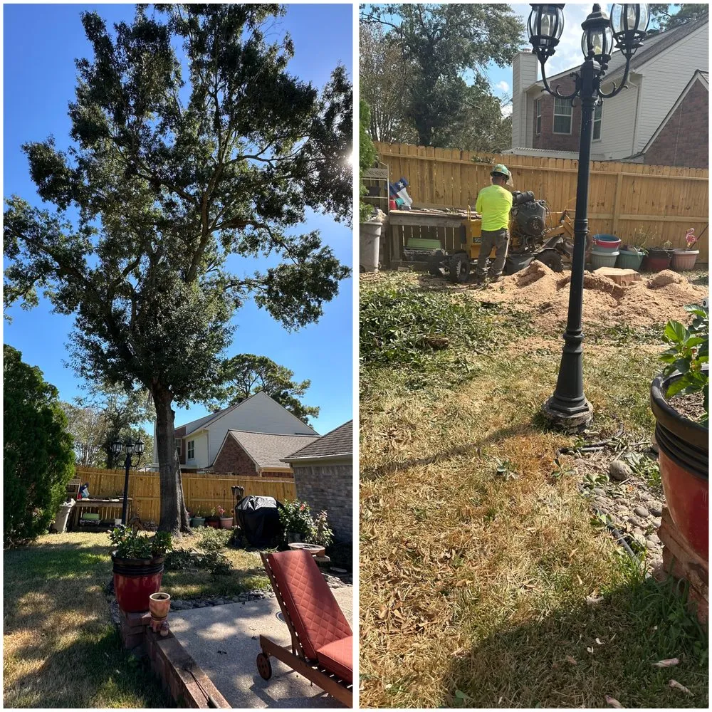 Trusted landscape design in Houston, TX by Juan C Lopez Landscaping