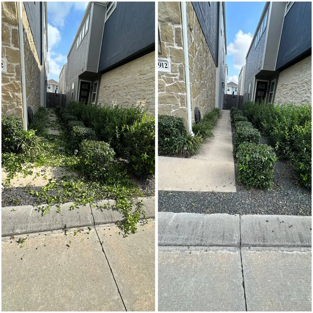 Affordable landscape installation in Houston, TX by Juan C Lopez Landscaping