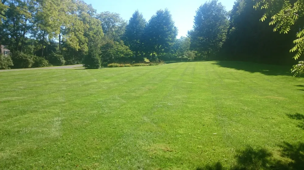 Custom yard maintenance for homes across Auburndale, MA - Juan Carlos Caruso Landscaping & Snow Plowing