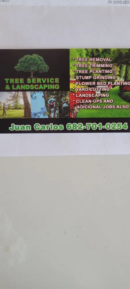 Affordable landscape installation with custom design across Mansfield, TX - Juan Carlos Tree Services & Landscaping