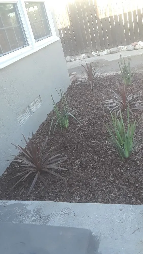 Reliable landscaping services for year-round maintenance across Portland, OR - Juan Chavez Landscaping & Gardening Services