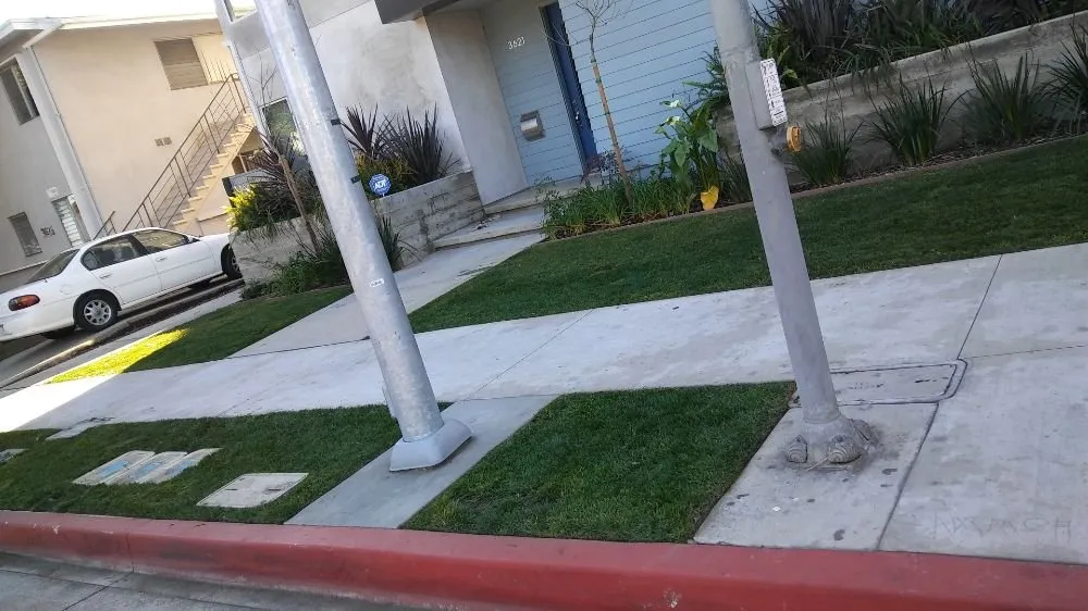 Professional yard cleanup service for homes across Portland, OR - Juan Chavez Landscaping & Gardening Services