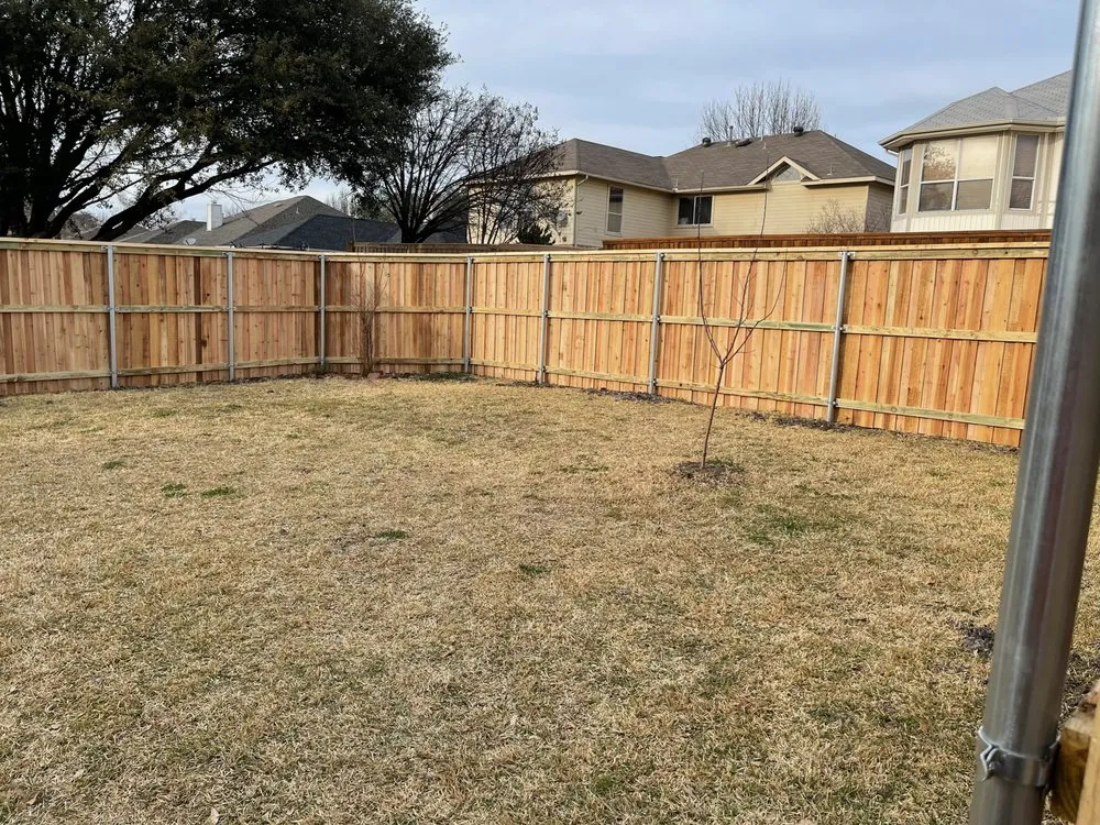 Custom yard cleanup service in Dallas, TX - Juan Cortez