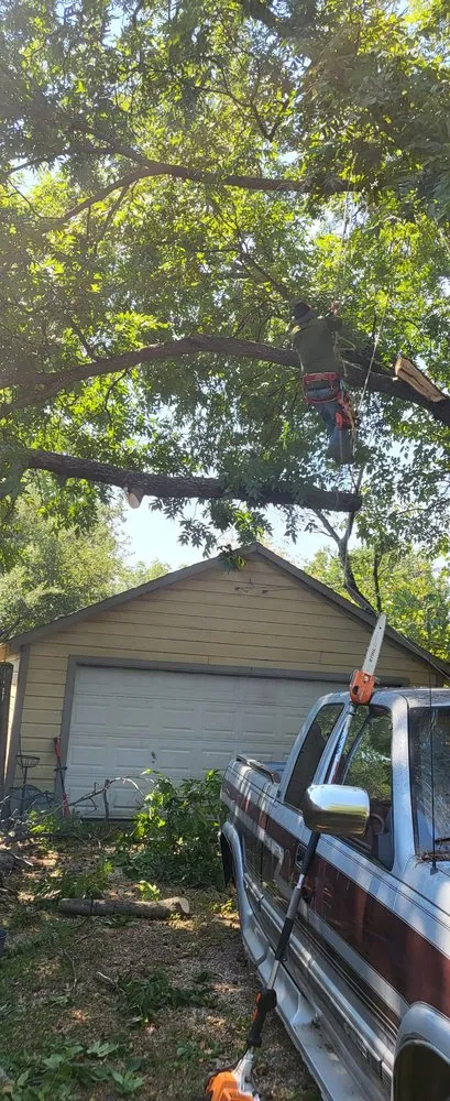 Reliable lawn mowing service in Dallas, TX by Juan Cortez