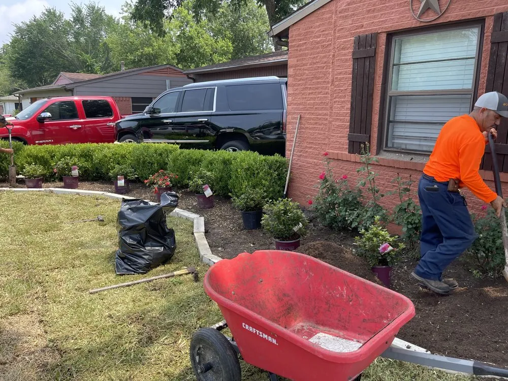 Custom lawn care service in Dallas, TX by Juan Cortez