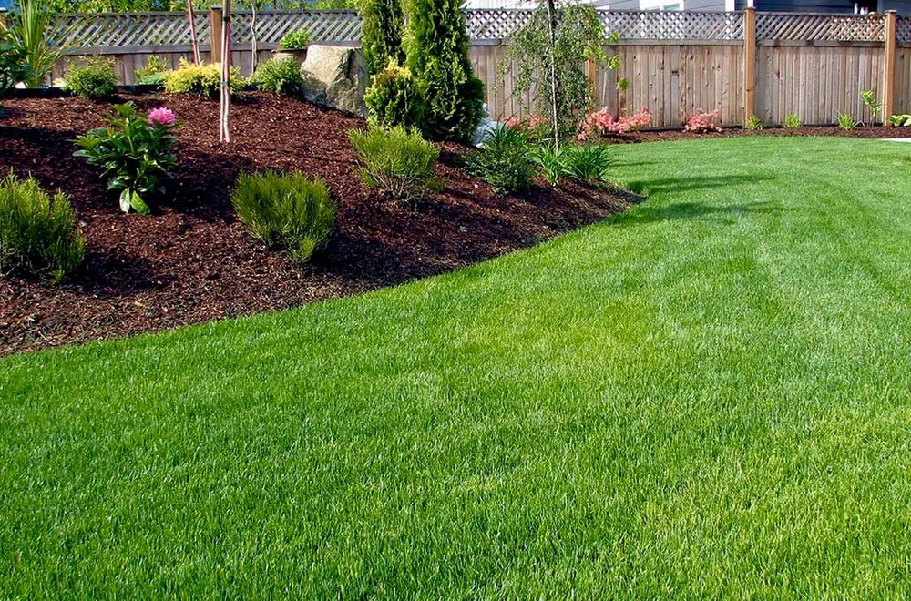 Reliable garden landscaping for beautiful yards in Orange, VA by Juan Deer Lawn Engineers