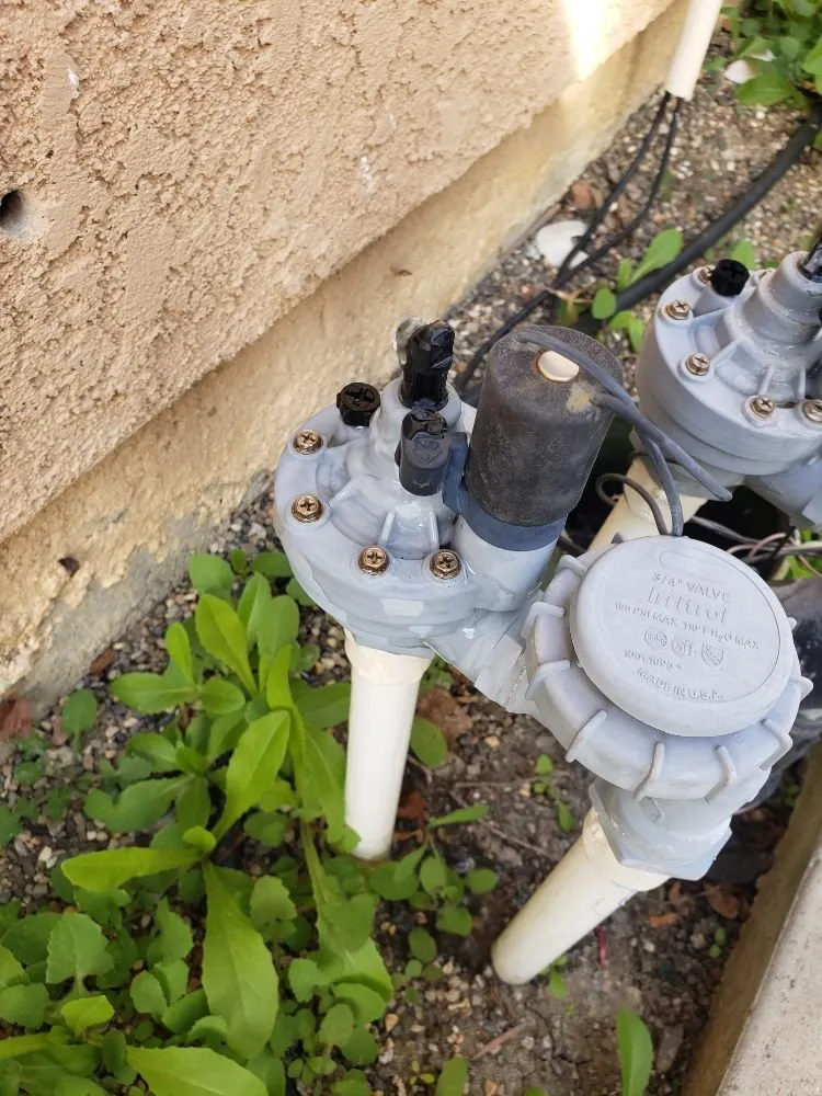 Local lawn mowing service for year-round maintenance across San Luis Obispo, CA - Juan Delgado Gardening Services