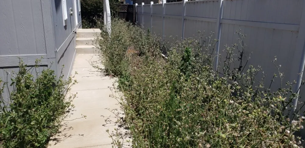 Top-rated landscaping services in San Luis Obispo, CA by Juan Delgado Gardening Services