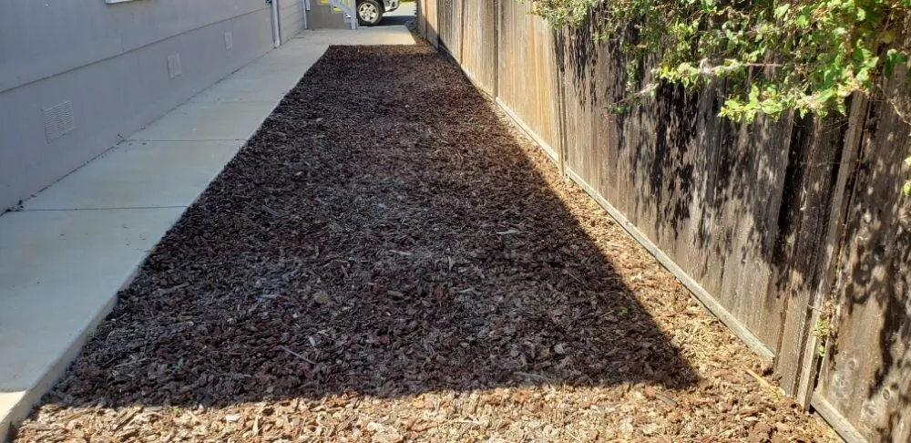 Reliable landscaping services for year-round maintenance across San Luis Obispo, CA - Juan Delgado Gardening Services