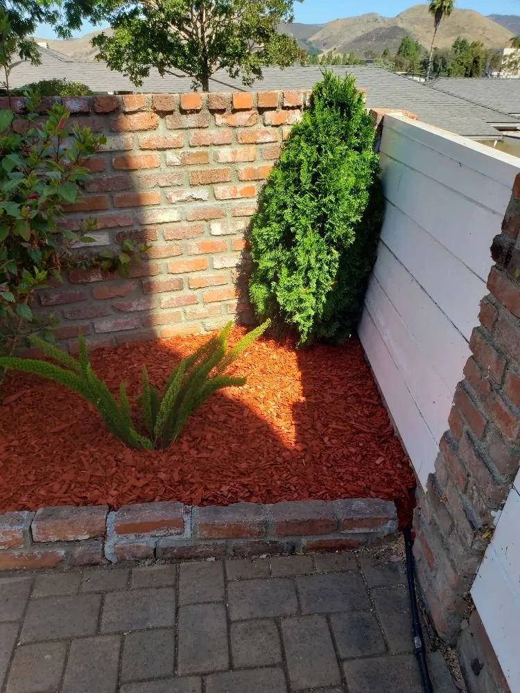 Affordable yard cleanup service with custom design in San Luis Obispo, CA by Juan Delgado Gardening Services