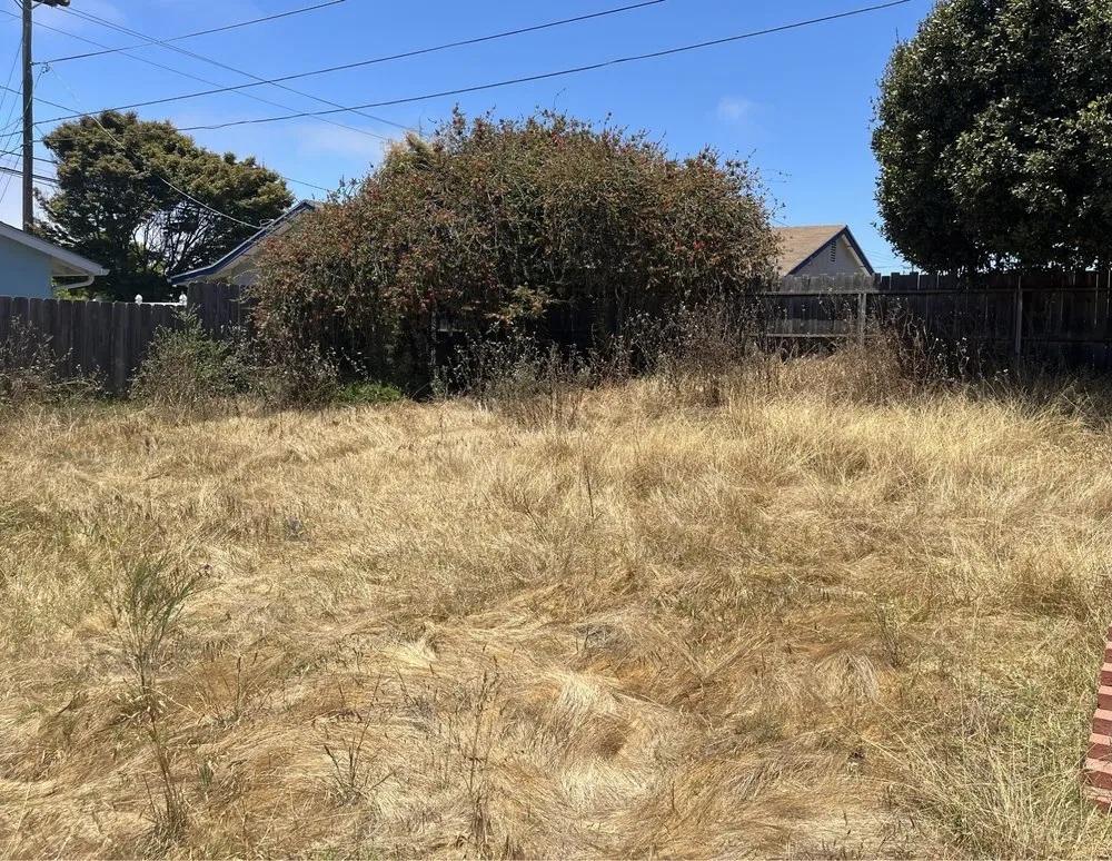 Top-rated yard cleanup service for outdoor upgrades across San Luis Obispo, CA - Juan Delgado Gardening Services