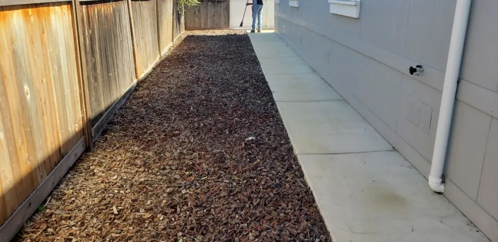 Top-rated lawn care service for outdoor upgrades in San Luis Obispo, CA by Juan Delgado Gardening Services