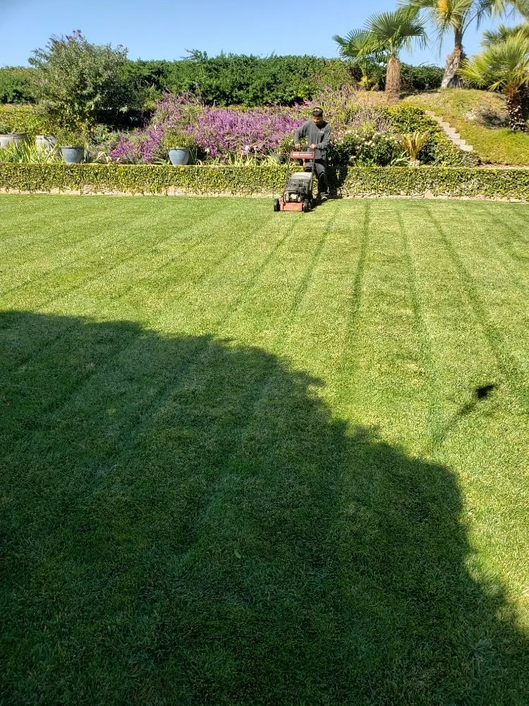 Top-rated landscape installation near you in San Luis Obispo, CA by Juan Delgado Gardening Services