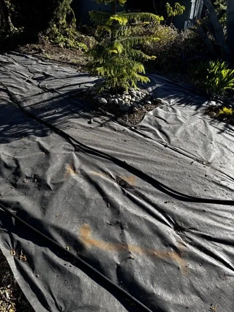 Trusted yard cleanup service experts serving San Luis Obispo, CA - Juan Delgado Gardening Services