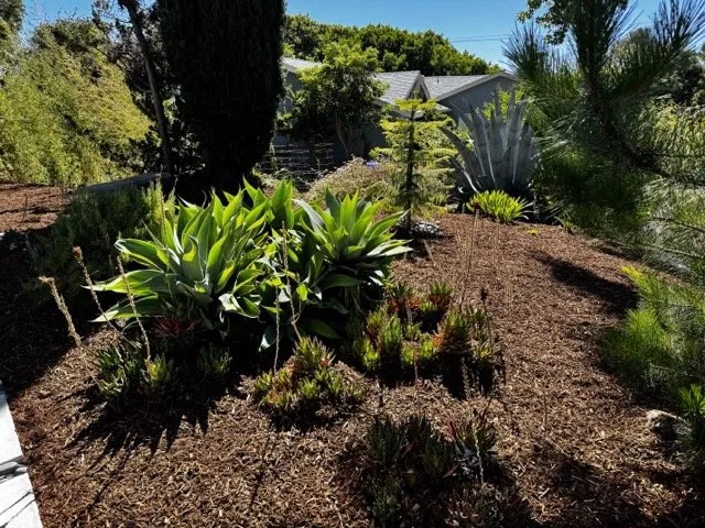 Reliable lawn care service in San Luis Obispo, CA - Juan Delgado Gardening Services