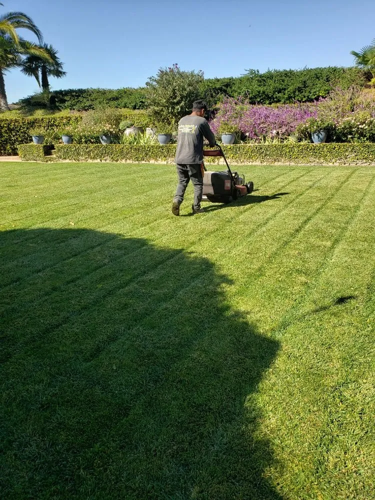 Custom garden landscaping in San Luis Obispo, CA - Juan Delgado Gardening Services