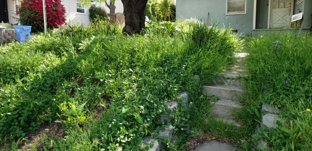 Local outdoor landscaping for outdoor upgrades in San Luis Obispo, CA by Juan Delgado Gardening Services