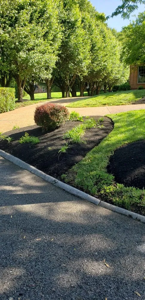 Expert yard maintenance in Knoxville, TN - Juan Francisco Landscaping