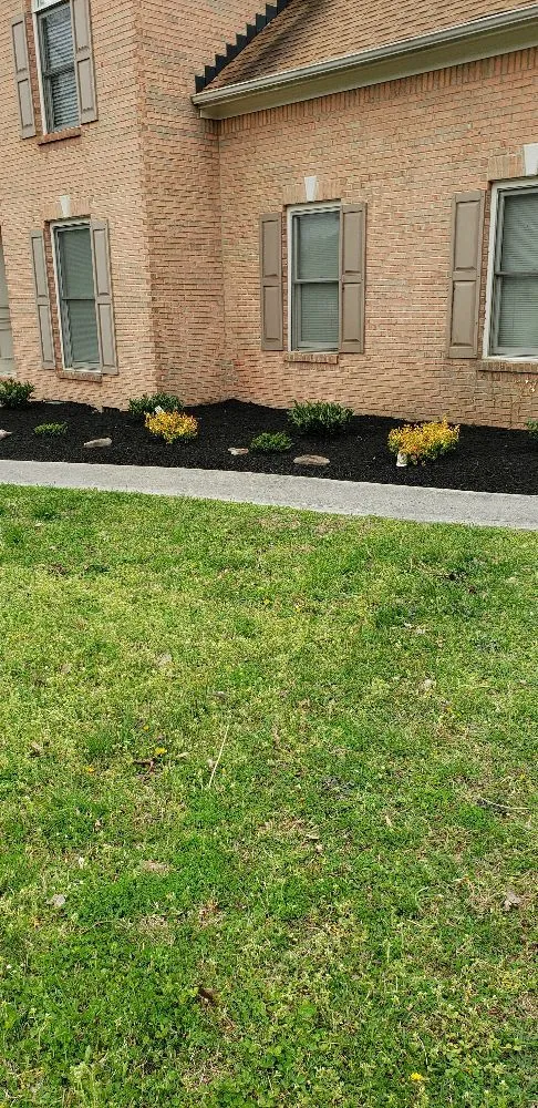 Expert residential landscaping in Knoxville, TN by Juan Francisco Landscaping