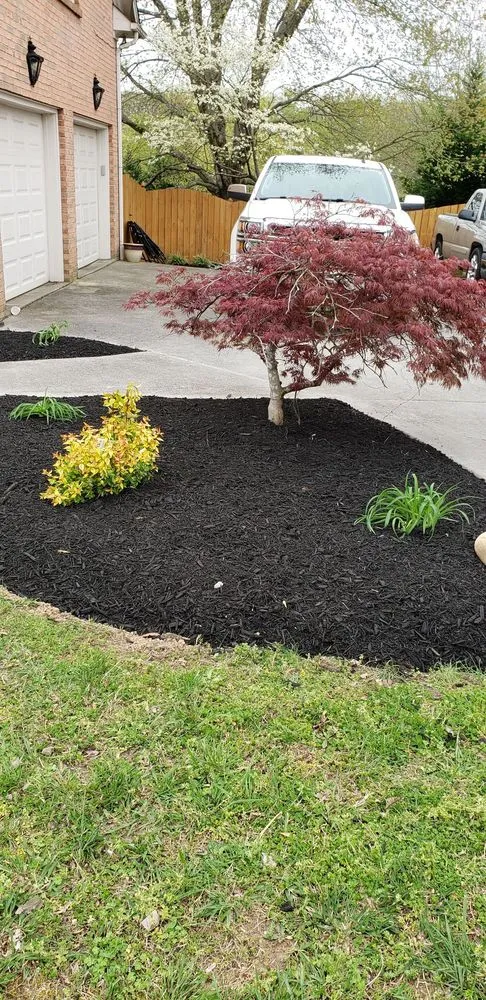 Expert residential landscaping in Knoxville, TN by Juan Francisco Landscaping
