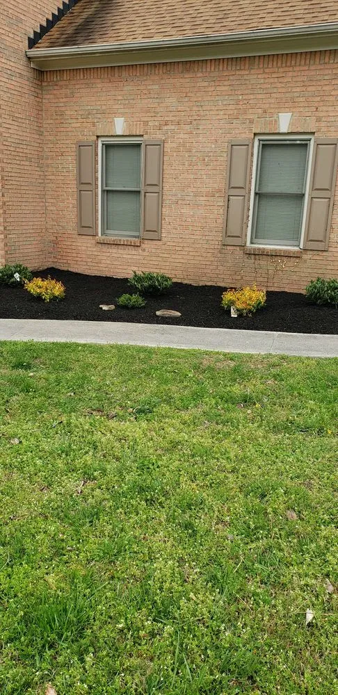Expert landscaping services in Knoxville, TN by Juan Francisco Landscaping