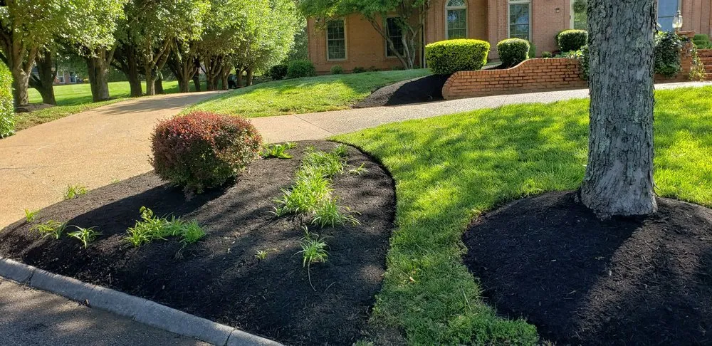 Professional lawn mowing service in Knoxville, TN - Juan Francisco Landscaping