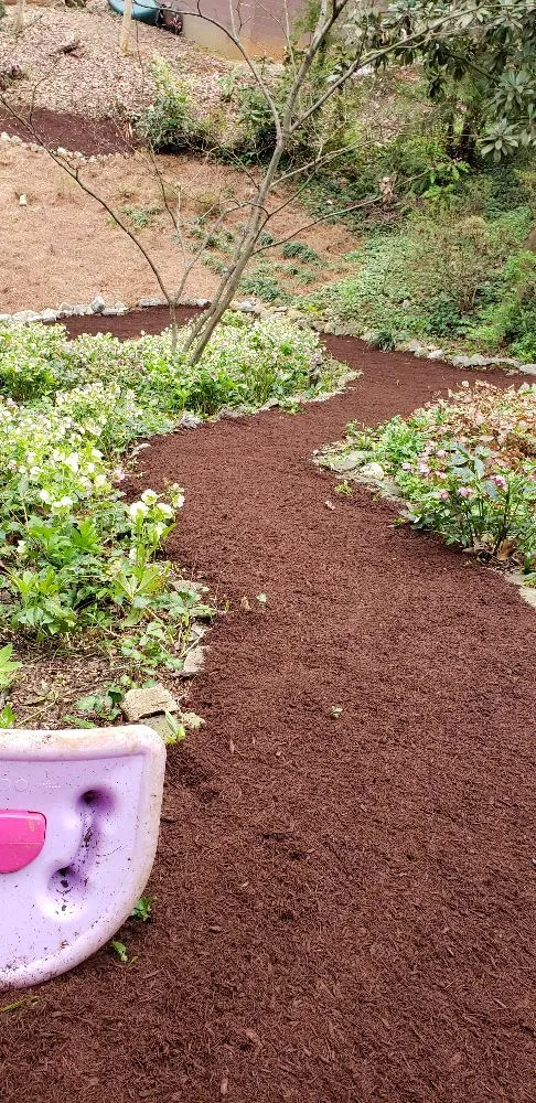 Local residential landscaping in Knoxville, TN - Juan Francisco Landscaping