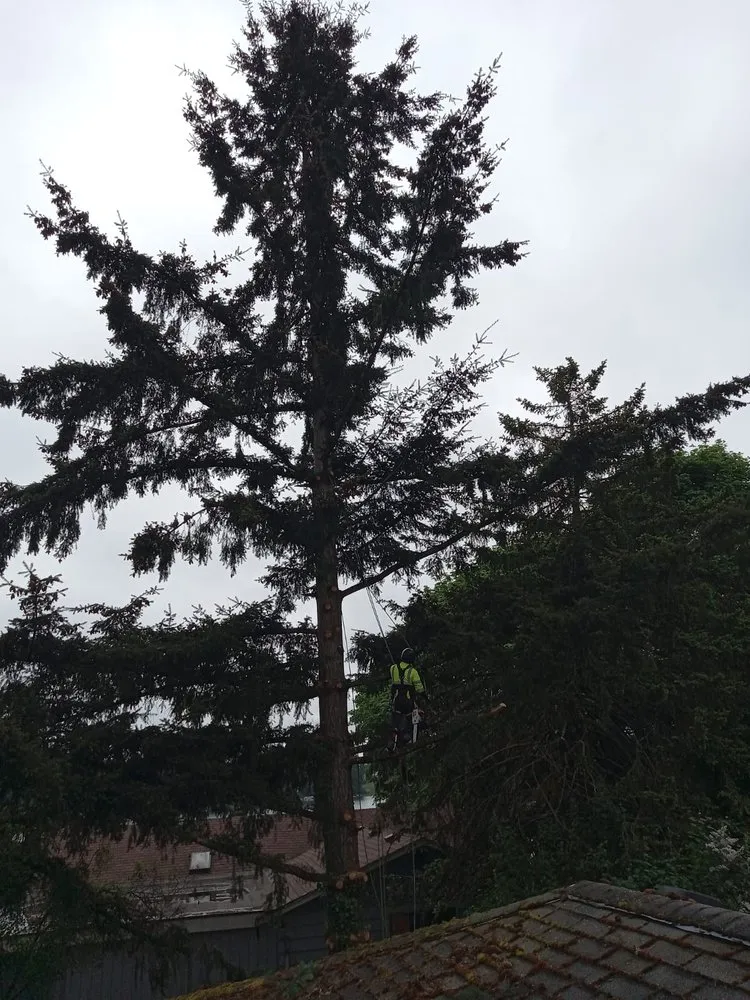 Affordable garden landscaping in Belfair, WA - Juan G Landscaping & Tree Service