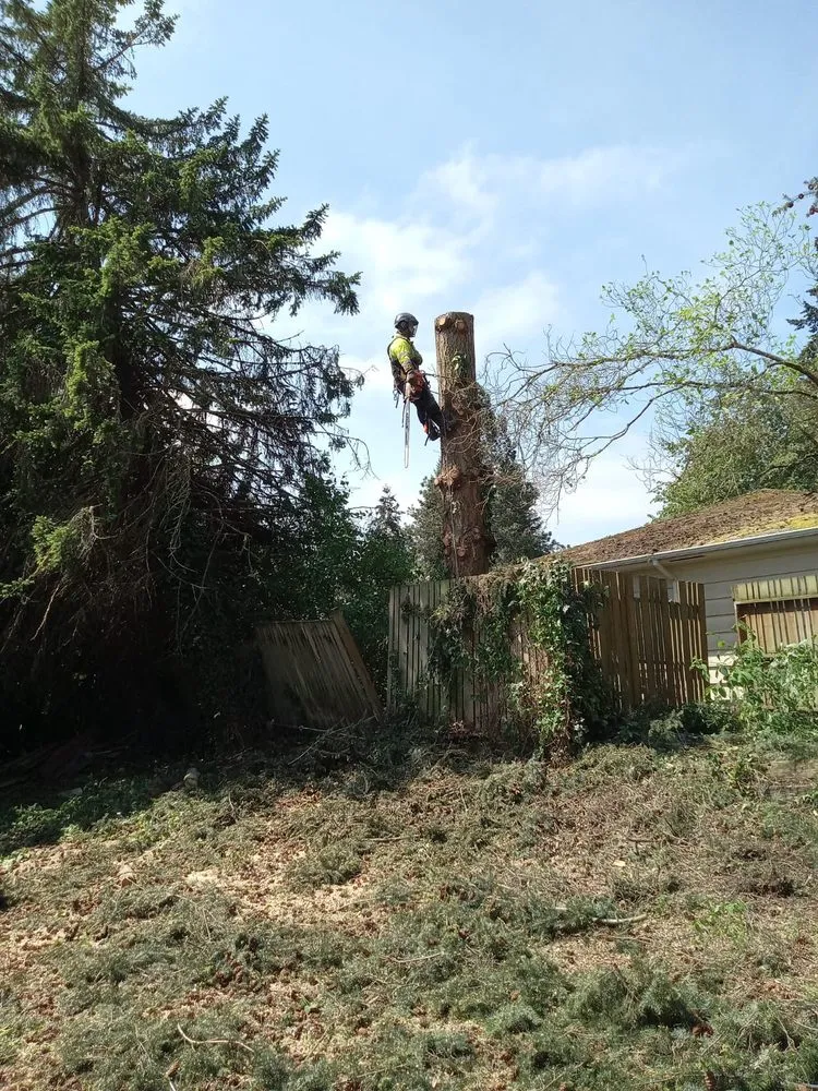 Local outdoor landscaping in Belfair, WA - Juan G Landscaping & Tree Service