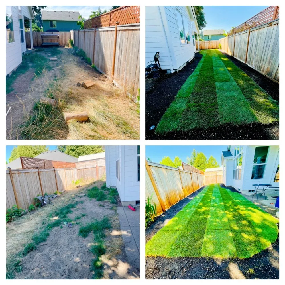 Local yard maintenance for year-round maintenance across Springfield, OR - Juan Godoy’s Landscape and Cleaning Services