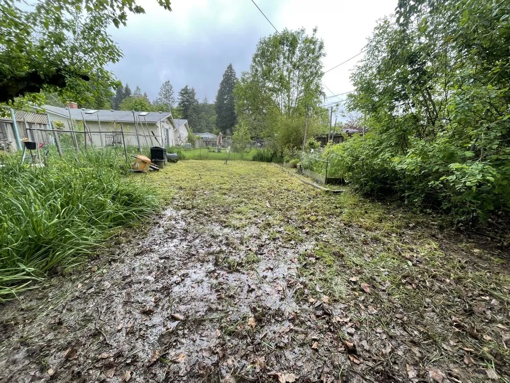 Affordable lawn mowing service experts serving Springfield, OR - Juan Godoy’s Landscape and Cleaning Services