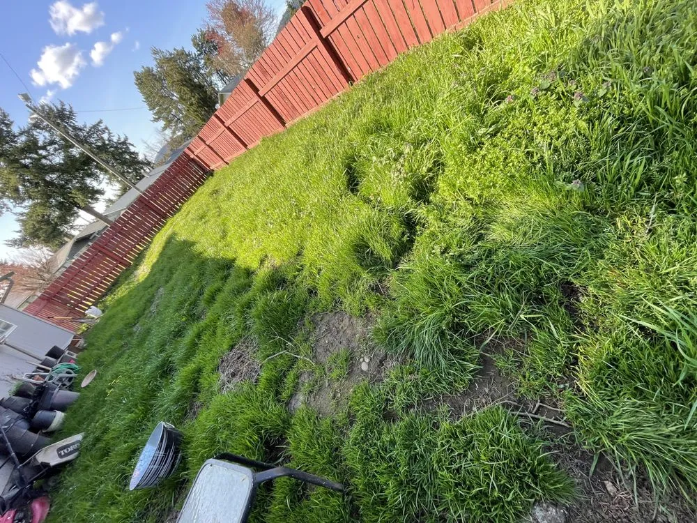 Trusted garden landscaping in Springfield, OR - Juan Godoy’s Landscape and Cleaning Services