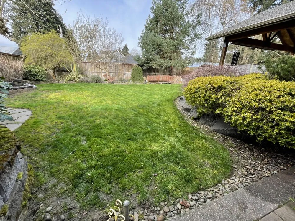 Reliable lawn mowing service in Springfield, OR by Juan Godoy’s Landscape and Cleaning Services