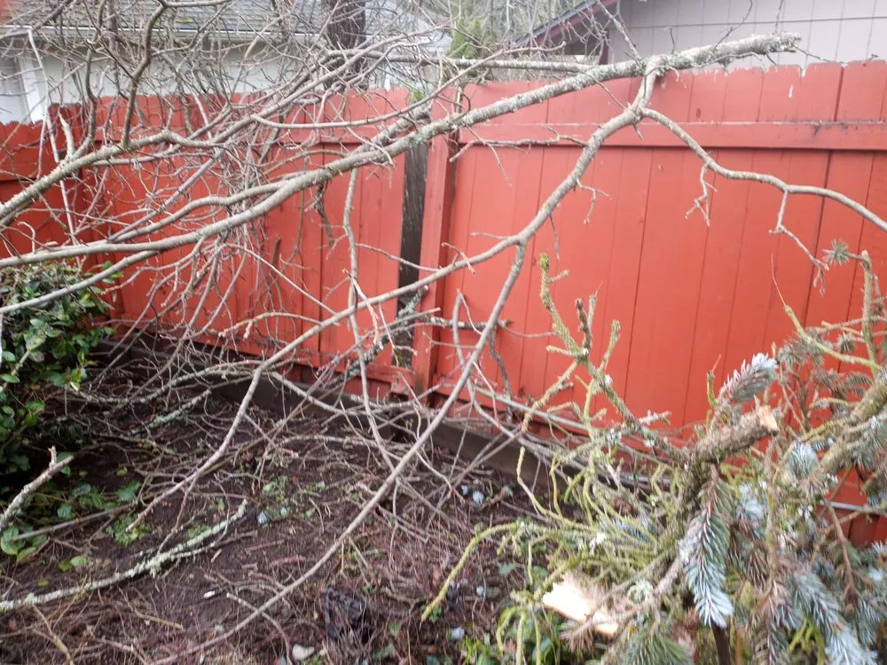 Custom residential landscaping experts serving Springfield, OR - Juan Godoy’s Landscape and Cleaning Services