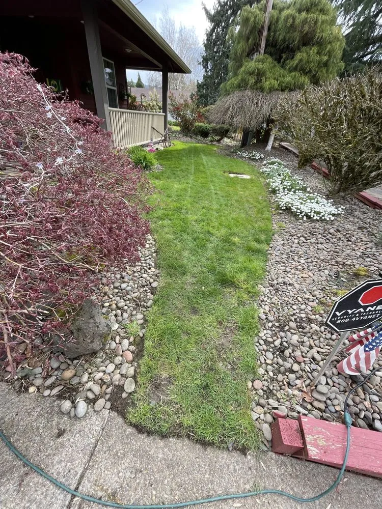 Reliable landscape design in Springfield, OR - Juan Godoy’s Landscape and Cleaning Services