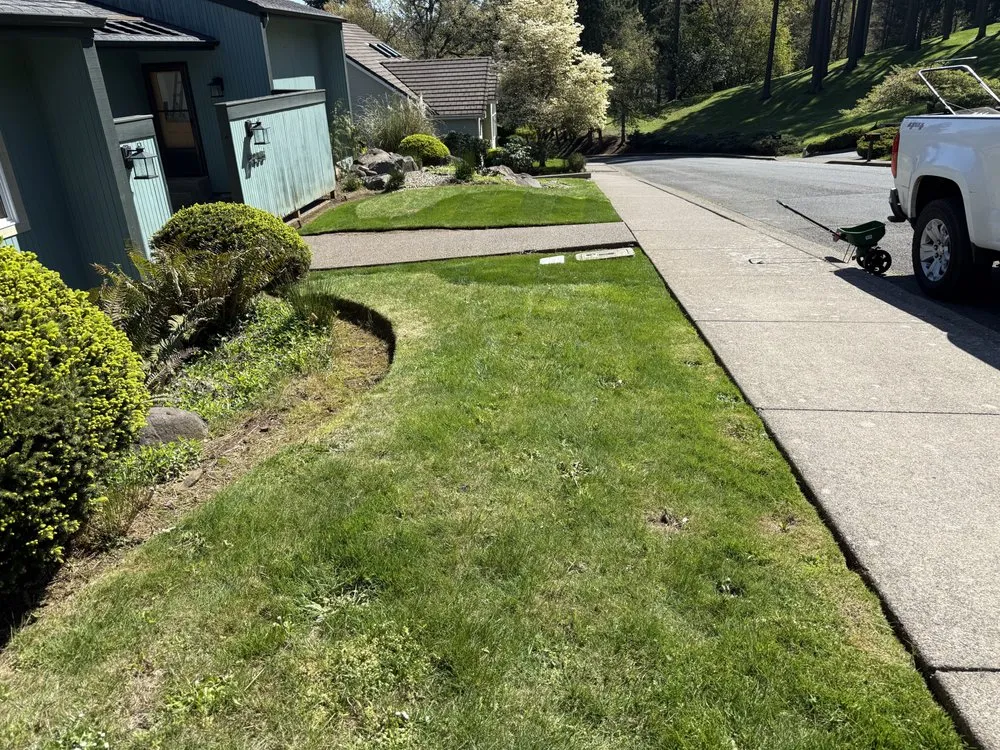 Top-rated lawn care service experts serving Springfield, OR - Juan Godoy’s Landscape and Cleaning Services