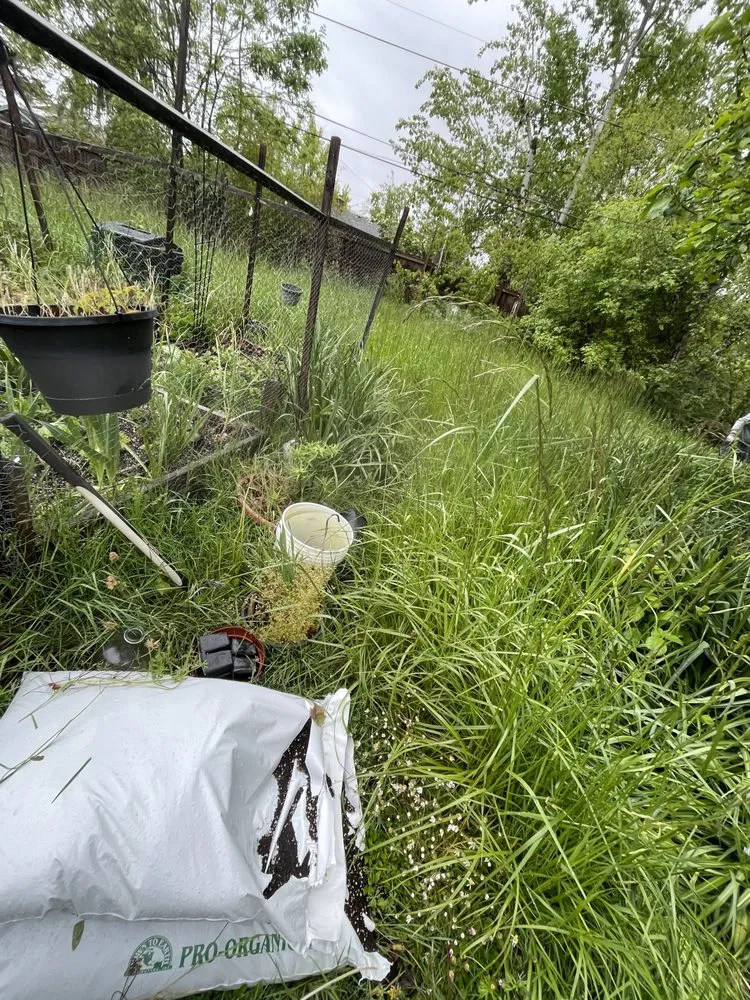 Affordable residential landscaping with custom design across Springfield, OR - Juan Godoy’s Landscape and Cleaning Services