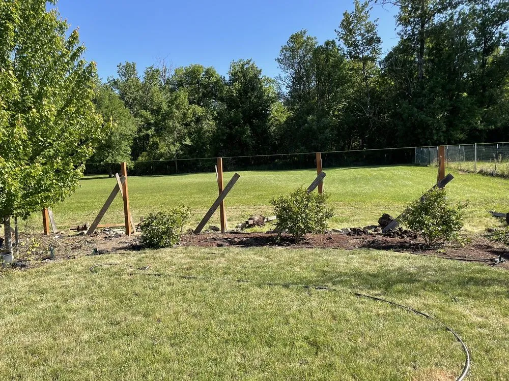 Professional garden landscaping in Springfield, OR by Juan Godoy’s Landscape and Cleaning Services